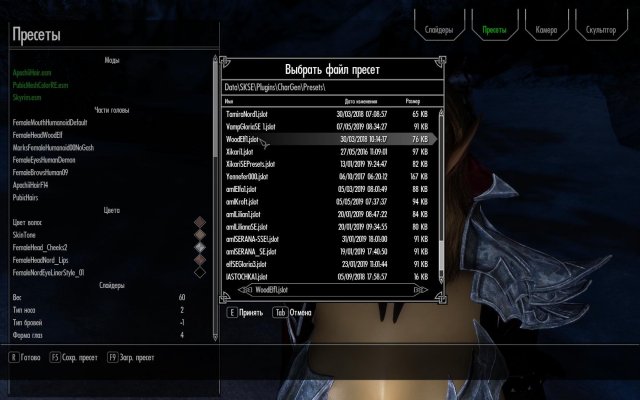 SkyrimSE 2019-06-28 11-30-42-41.jpg