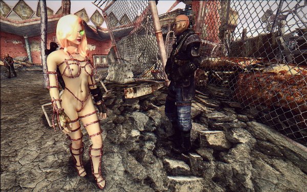 Fallout3 2019-06-19 11-01-27-14