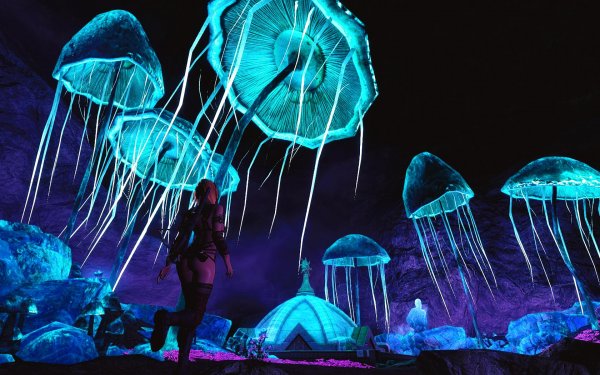 TESV 2019-06-06 12-07-30-93