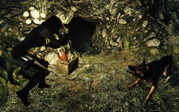 Fallout4 2019-07-09 10-44-34-15