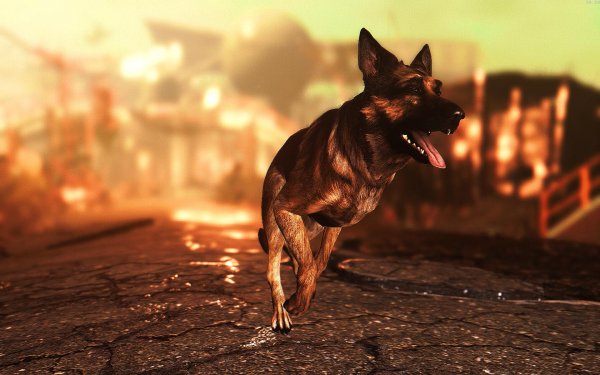 Fallout4 2019-07-23 09-29-00-53