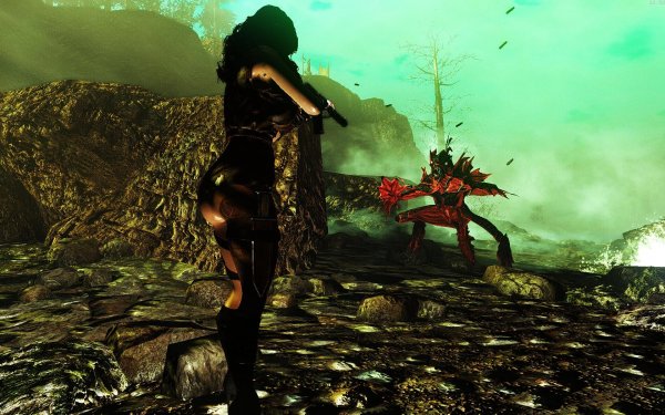 Королек болотников