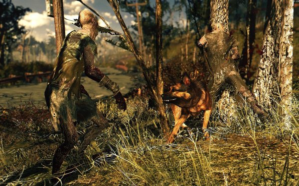 Raider Pet квест