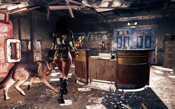 Raider Pet квест