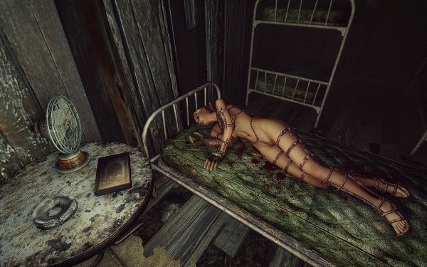 Fallout3 2019-07-27 08-38-46-43