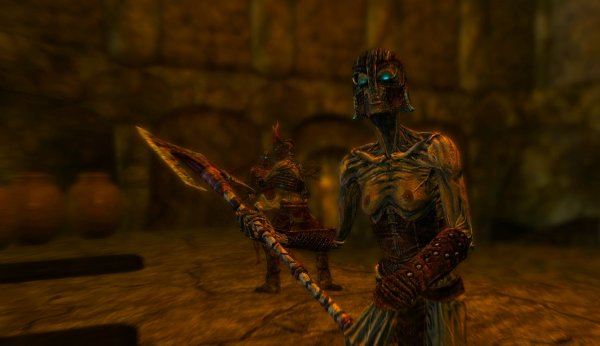 Топ-модель  ))