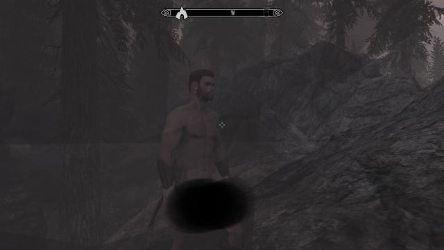 SkyrimSE 2019-08-28 20-42-10.png