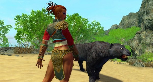 C пантеркой.. Enderal