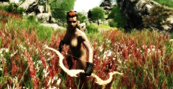 Wild на охоте. Enderal