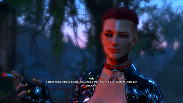 Мечта мужика услышать это ))) Fallout-4