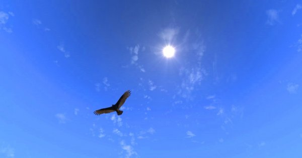 Качество прорисовки неба.. Новый Вегас