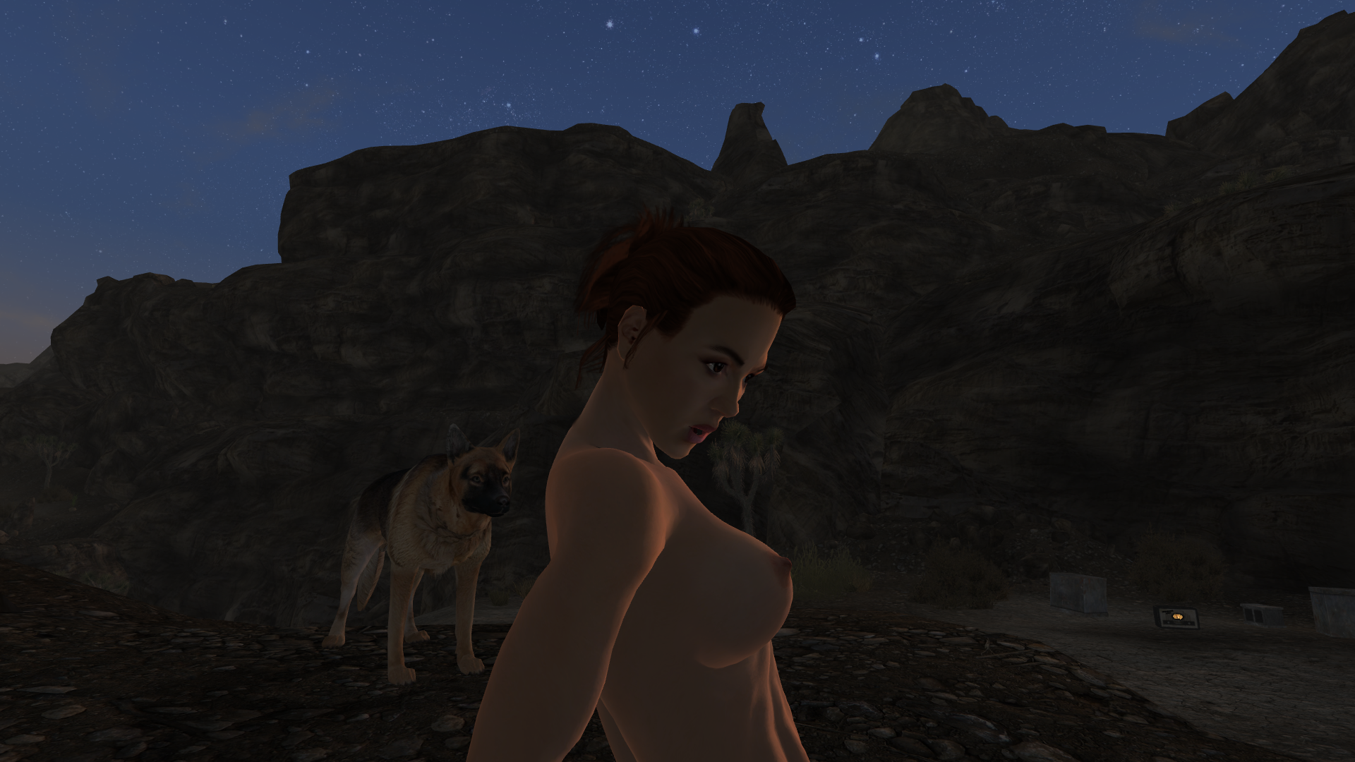 Отлаженная система SEXOUT: 6.0 - Глобальная сборка обычных и секс модов для Fallout New Vegas