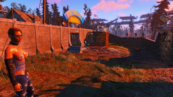 Дама из соц-ослуживания в Альянсе. Fallout4