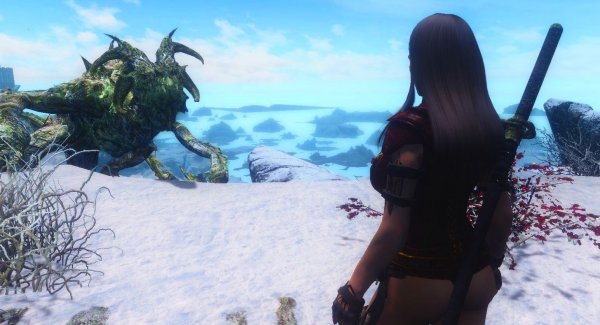 Беседа двух дов. Skyrim