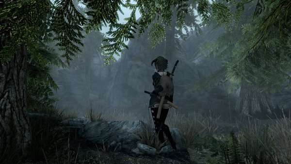 ScreenShot210.jpg