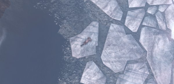 ScreenShot276.jpg