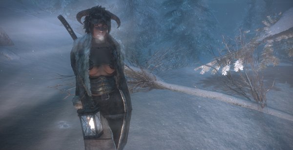 SkyrimSE-2019-11-02-20-49-26.jpg