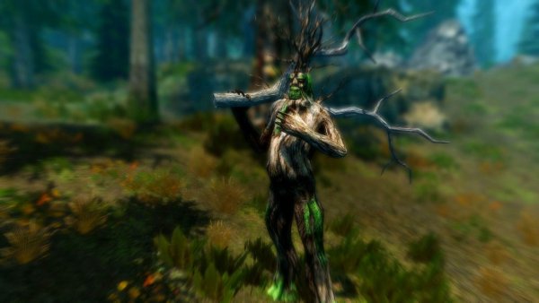 Древесный великан..