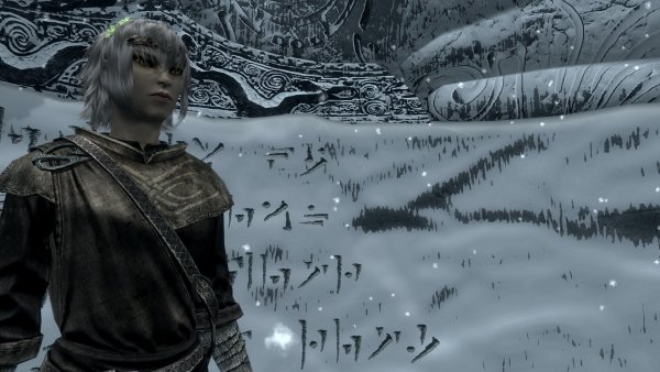 TESV 2019-12-23 17-10-52-23.jpg