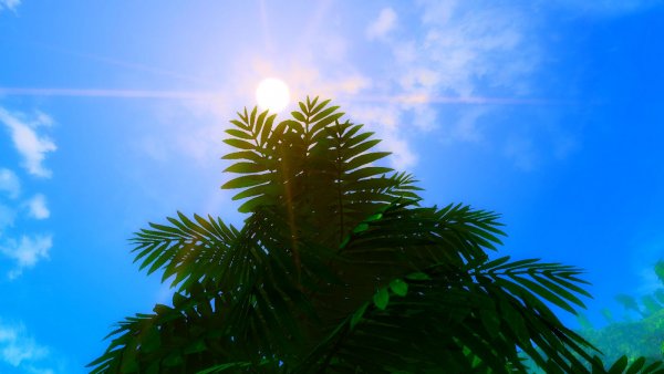 Такое небо голубое! :) Тропики 4.0