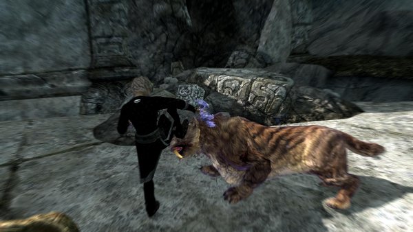 TESV 2019-12-09 17-58-38-59.jpg