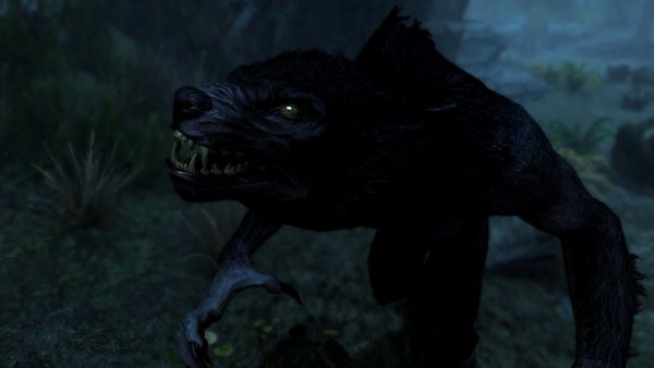 Хускарл Райя учится носить шубу вервольфа ;)