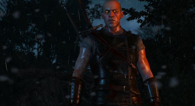 witcher3 2020-01-28 21-57-10-61.jpg