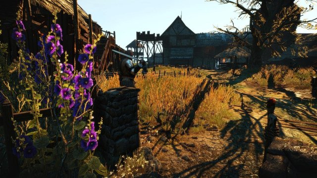 witcher3 2020-01-28 19-01-41-89.jpg