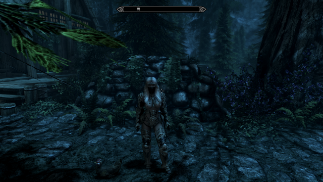 The Elder Scrolls V  Skyrim Special Edition Screenshot 2020.01.22 - 19.35.05.03.png