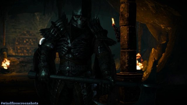 witcher3 2020-01-29 01-36-01-63.jpg