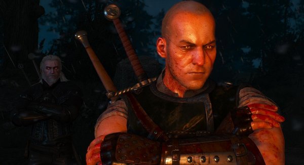 Коллега из школы кота.. witcher3