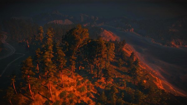 Пейзаж с высоты полёта птицы.. Witcher3