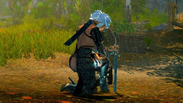 Цири.. SkyrimSE (сборка 6.0 ЛЕТО)