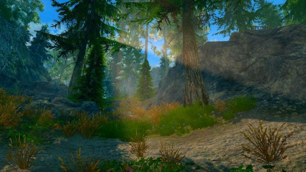 Ранним утром в лесу... (сборка 6.0 ЛЕТО)