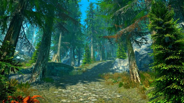 Дорога так и манит.. ;) (SSE сборка 6.0)