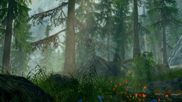 Утро в лесу.. Skyrim SE (сборка 6.0)