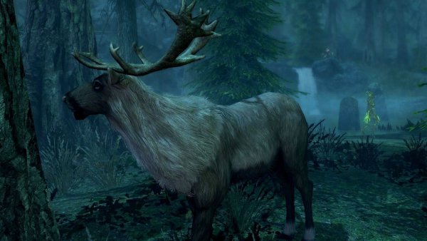 В лесу... SkyrimSE (сборка 6.0)