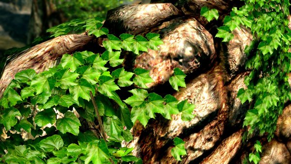 От текстур плюща - плющит! Skyrim SE (сборка 6.0)