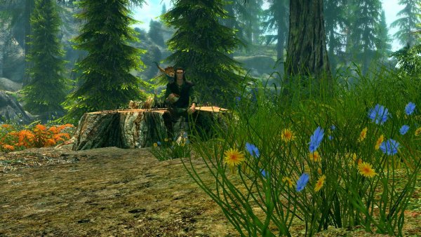 Skyrim SE (сборка 6.0)