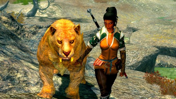 Желтоглазые киски.. (сборка 6.0 ЛЕТО)