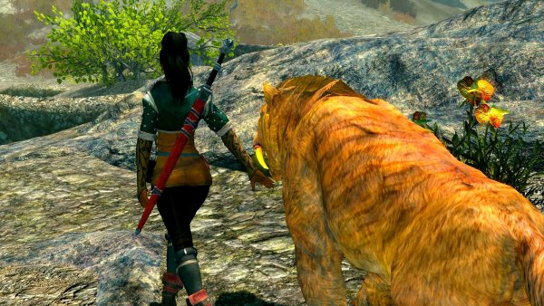 Пойдём, кись, поселфимся для amlgames !