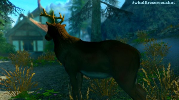 Олень в Озерном. (сборка 6.0 ЛЕТО)