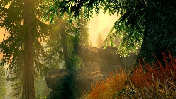 Утро в лесу... Skyrim SE (сборка 6.0)