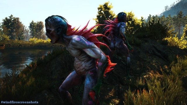 witcher3 2020-01-29 17-17-16-11.jpg