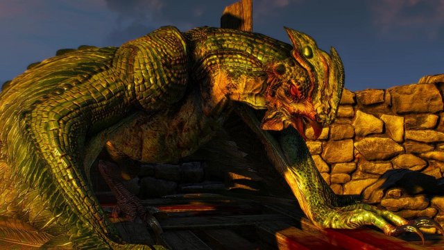 witcher3 2020-01-29 22-20-02-79.jpg