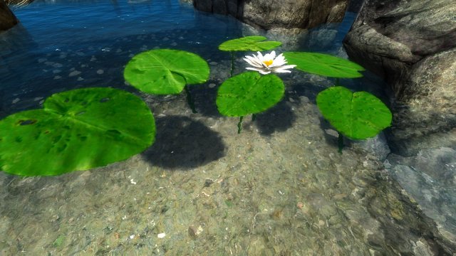 enb 2020_02_23 19_42_53_98.jpg