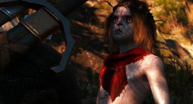 witcher3 2020-01-29 18-12-32-72.jpg