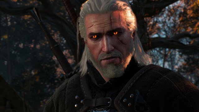witcher3 2020-01-29 19-31-38-25.jpg