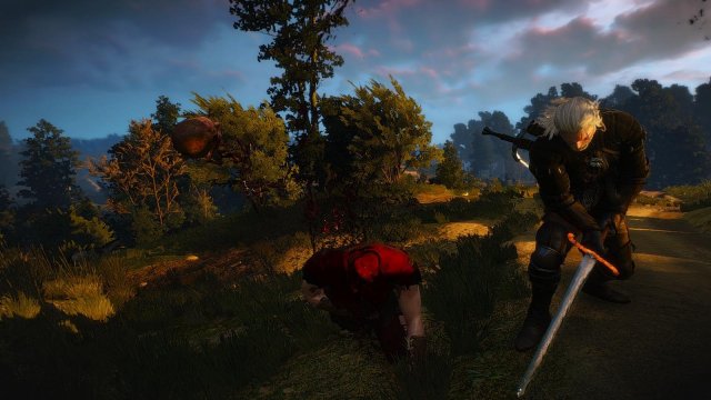 witcher3 2020-01-31 01-35-15-33.jpg