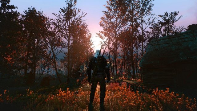 witcher3 2020-01-29 19-37-10-00.jpg